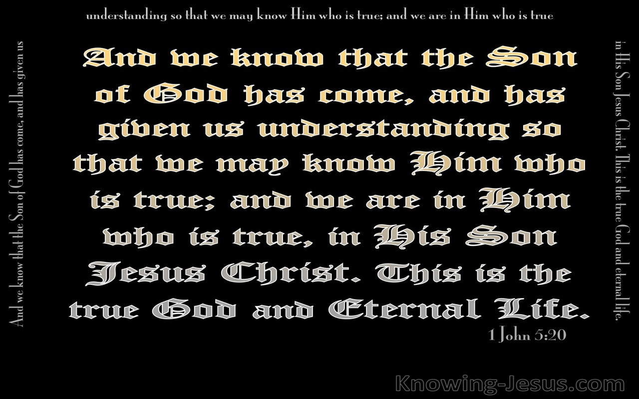 1 John 5:20 This Is The True God (black)